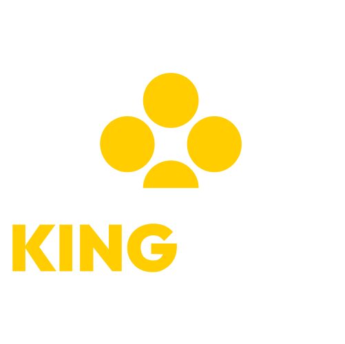 KingAmo kasino